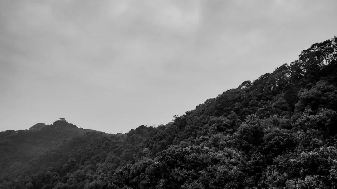 窗帘布艺零售市场新趋势：功能性面料与环保工艺的行业应用解析
